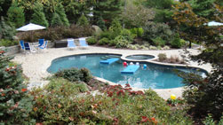 Poolscape and backyard oasis