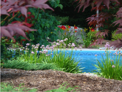 Stunning pool designs in Rocky Hill CT